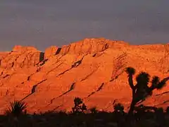 Sunset at Meadview with Joshua trees