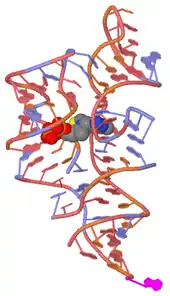 Experimental 3D structure of the TPP riboswitch (PDB: 2HOJ).