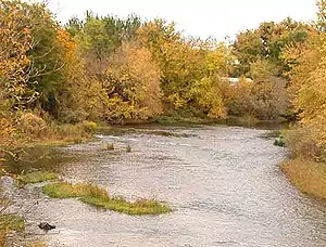 A midsized river flowing through a yellow-leaved forest
