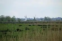 Shallam Dyke Marshes