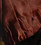 Drapery (detail)