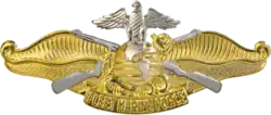 Fleet Marine Force [FMF] officer insignia