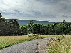 View of Sleepy Creek Mountain from a hillside in New Hope