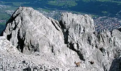 The Vordere Brandjochspitze seen from the Hintere Brandjochspitze. Behind: Innsbruck. Foreground: two young ibexes.