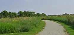 A .6-mile walking path, the "Courage Trail," winds through the prairie flowers and grass at the Battle of Island Mound State Historic Site. During the battle, the southern force set fire to the prairie in an attempt to burn their opponents out, and the union force lit a back fire to protect itself. In the confusion that followed, much of the fighting was at extremely close quarters.