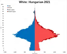 White Hungarian
