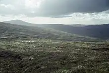 The Sally Gap in County Wicklow was one of the locations of Wild Youth's postcard.