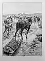 Horse-drawn transport of Wounded