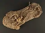 Sandal from 700–1100. Source: National Park Service