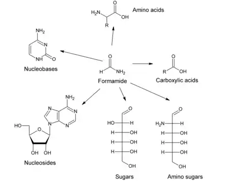 Figure 2. Main prebiotic building blocks that can be synthesized from formamide under plausible prebiotic conditions.