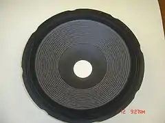 An acoustic diaphragm.